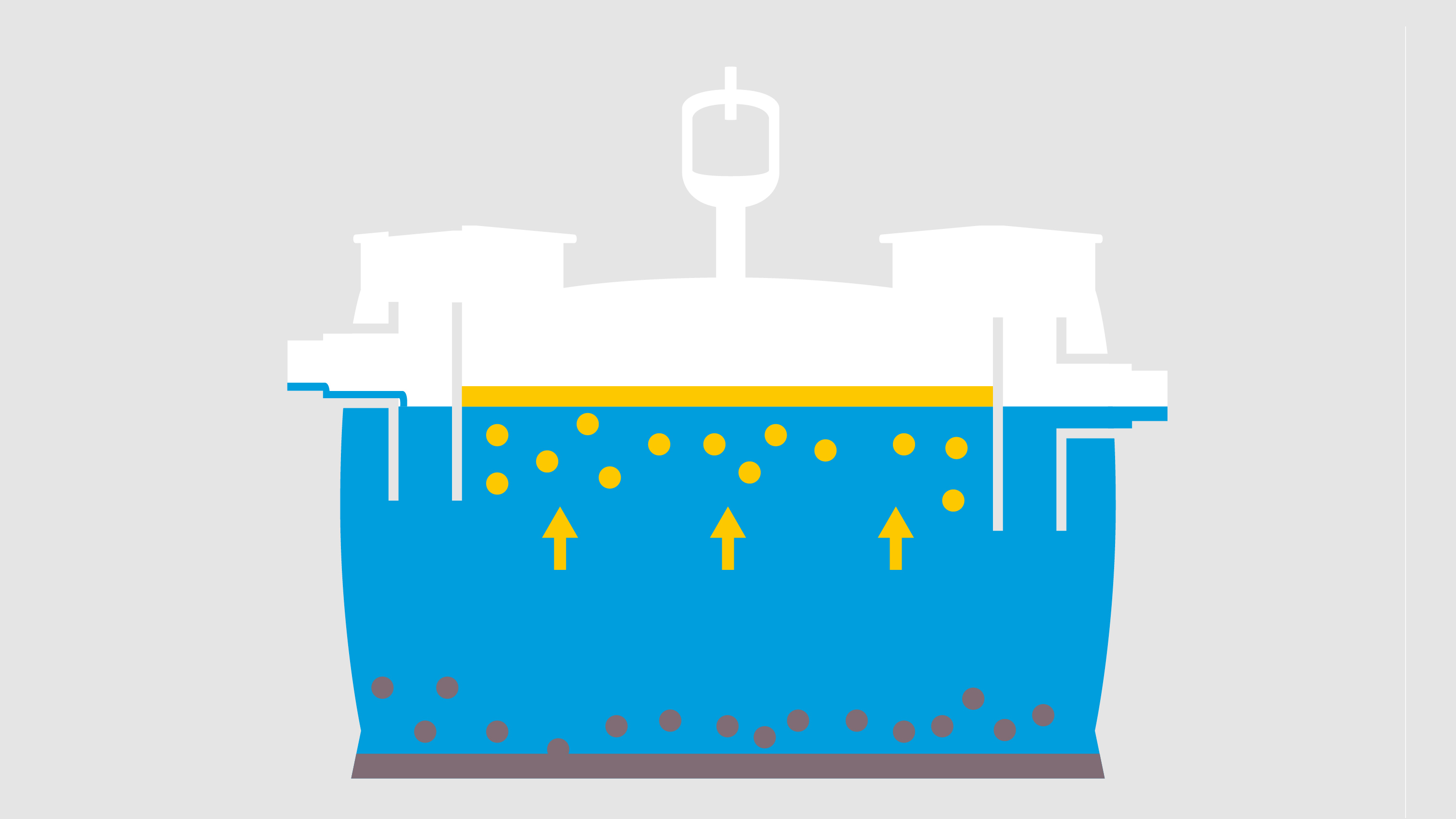 Formation de la couche de graisse.